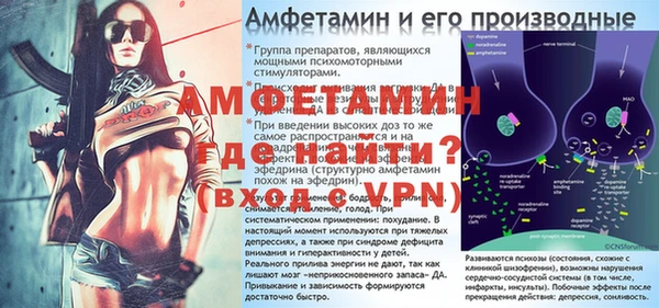 стафф Новодвинск