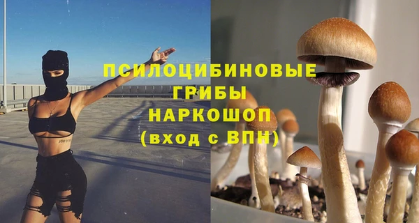 герыч Алексин